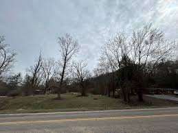 5 Sets of Human Remains Found at Former Forest Township Properties as Michigan Investigators Seek Answers